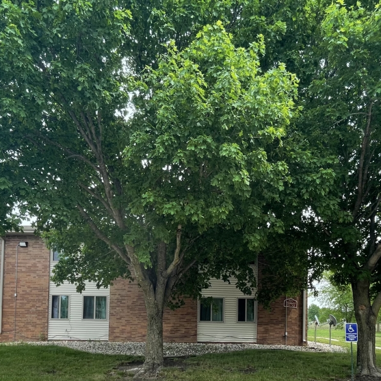 Cypress Pointe (Emmetsburg) Exterior 1